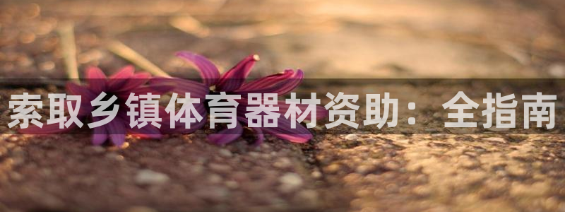富联娱乐平台开户条件是什么:索取乡镇体育器材资助:全指南