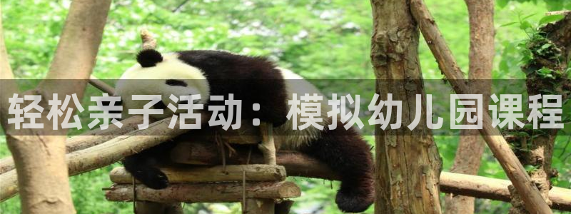 富联平台官网下载:轻松亲子活动:模拟幼儿园课程